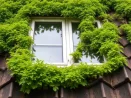 Démoussage de toiture et entretien des gouttières à Châtellerault 86100