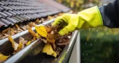 Démoussage de toiture et entretien des gouttières à Schiltigheim 67300