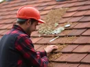Démoussage de toiture et entretien des gouttières à Nantes 44000