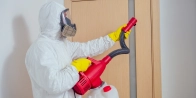 Traitement garanti punaise de lit Lyon 7 – 3 mois de garantie 69007 Rhône