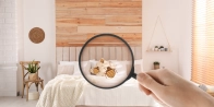 Traitement garanti punaise de lit Villeurbanne – 3 mois de garantie 69100 Rhône